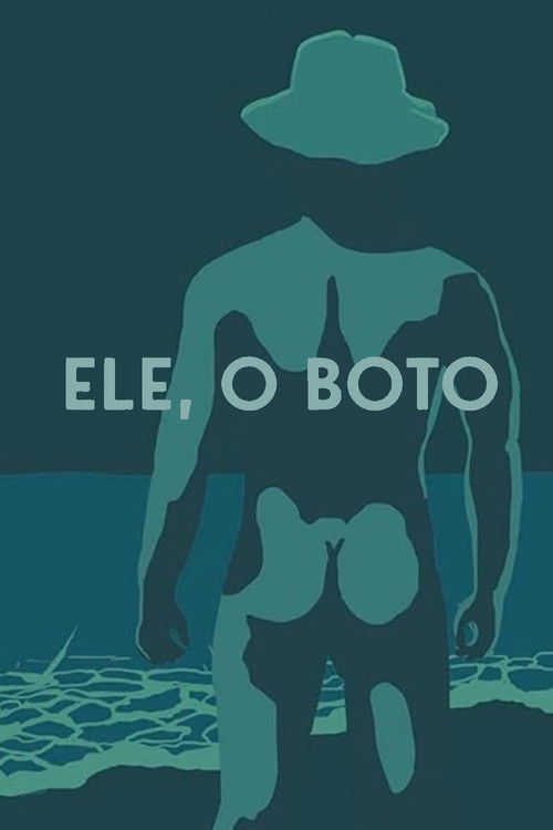 The Dolphin poster