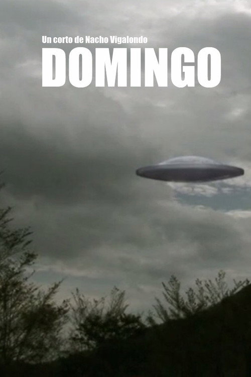 Domingo poster
