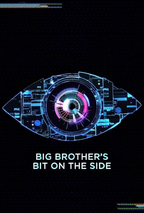 Big Brother’s Bit on the Side poster