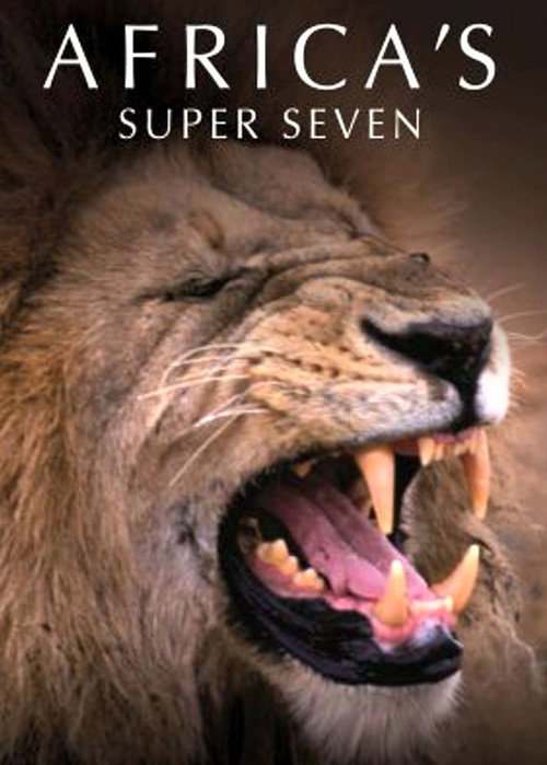 Africa’s Super Seven poster