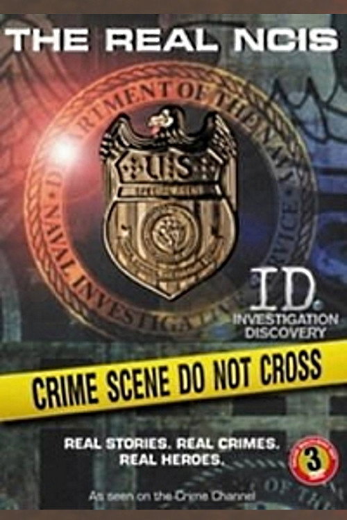 Real Case Files of The US poster