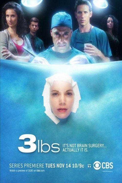 3 lbs poster