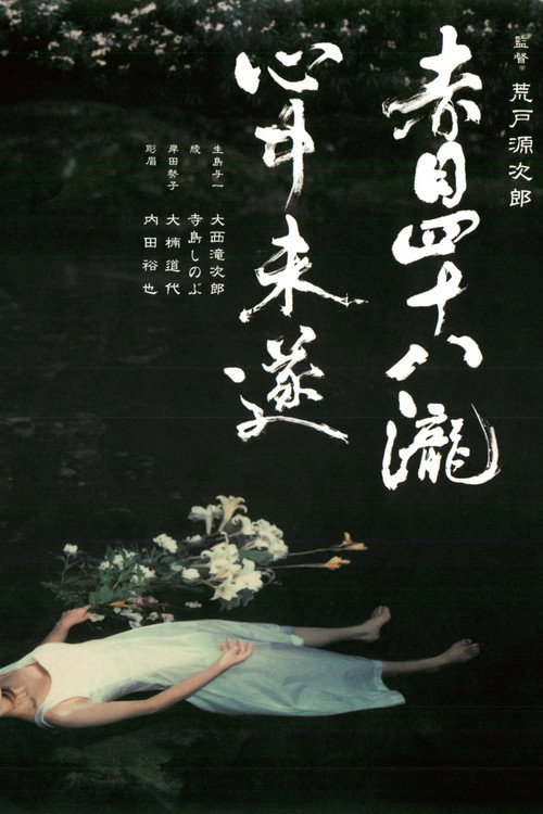 Akame 48 Waterfalls poster