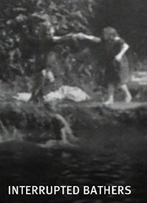 Interrupted Bathers poster