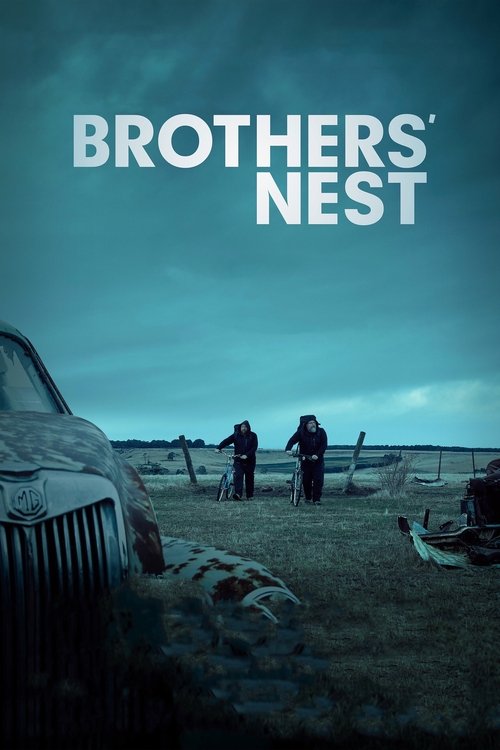 Brothers’ Nest poster