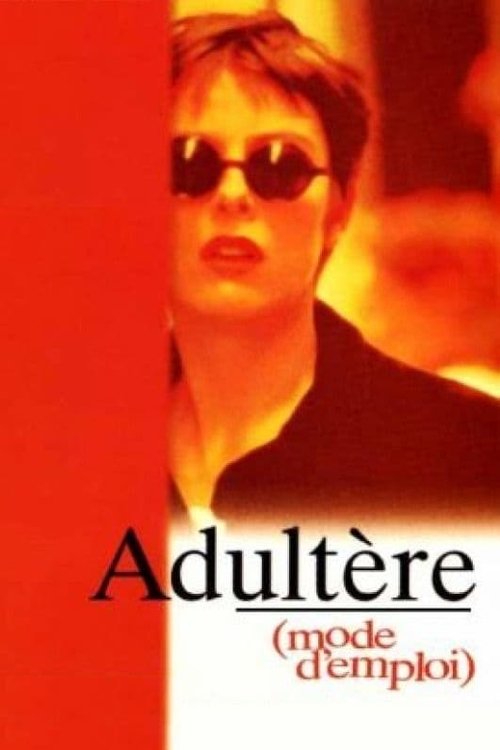 Adultery (A User’s Guide) poster