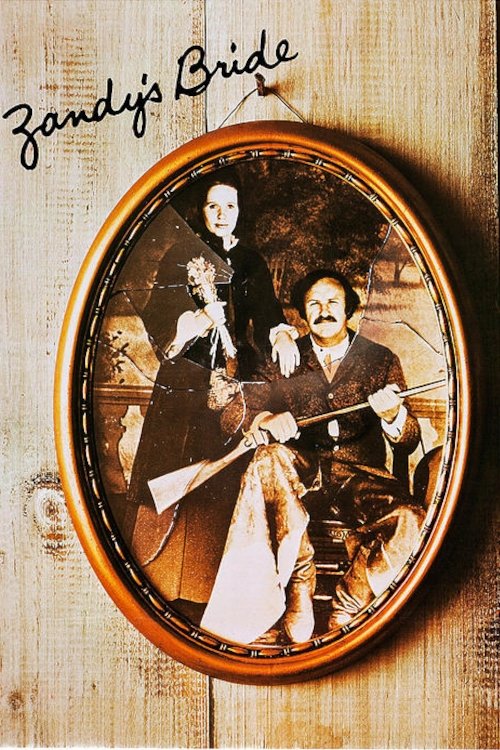 Zandy’s Bride poster