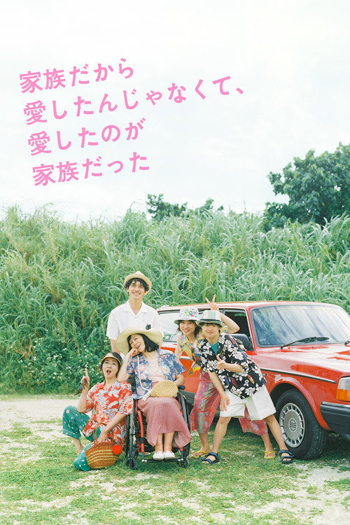I Didn’t Love You Because I Was a Family, But I Loved You as a Family poster
