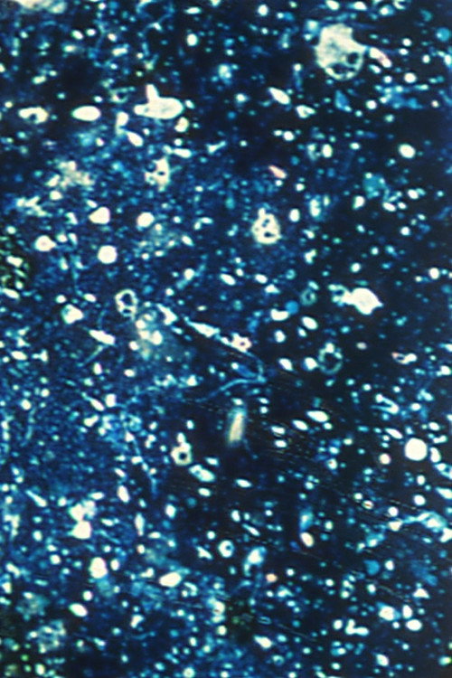 Ephemeral Solidity poster
