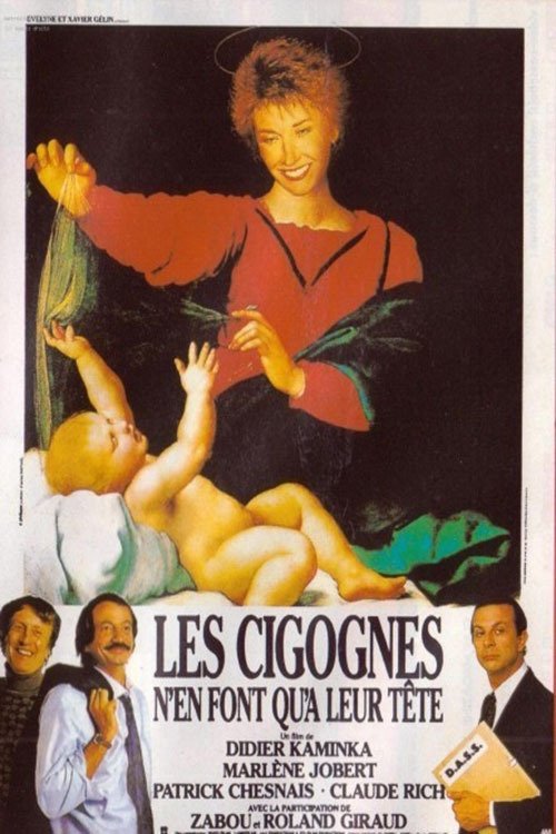 Les cigognes n’en font qu’à leur tête poster
