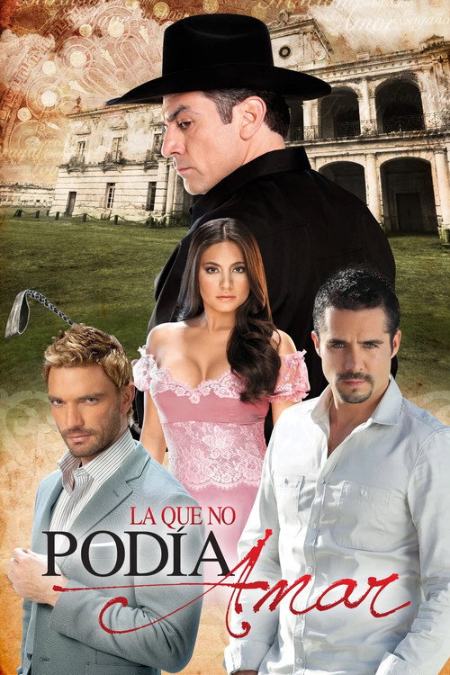 The One Who Couldn’t Love poster