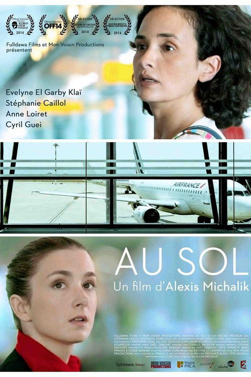 Grounded poster