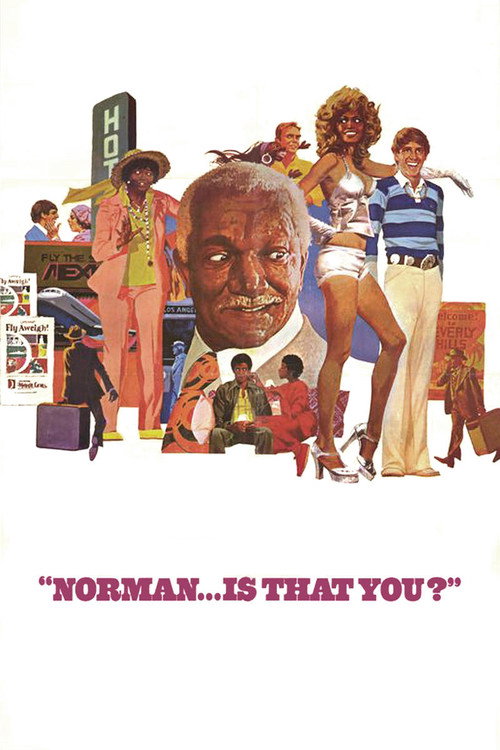 Norman… Is That You? poster