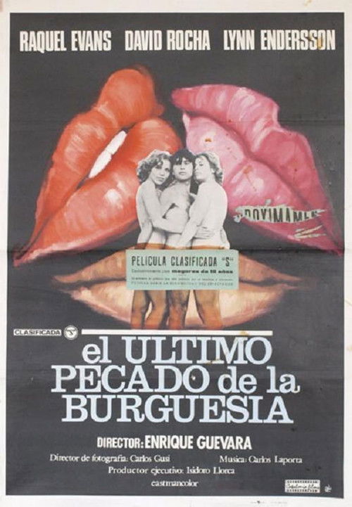 Last Sin of the Bourgeoisie poster