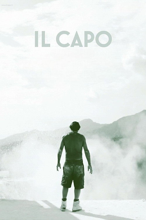 The Chief poster