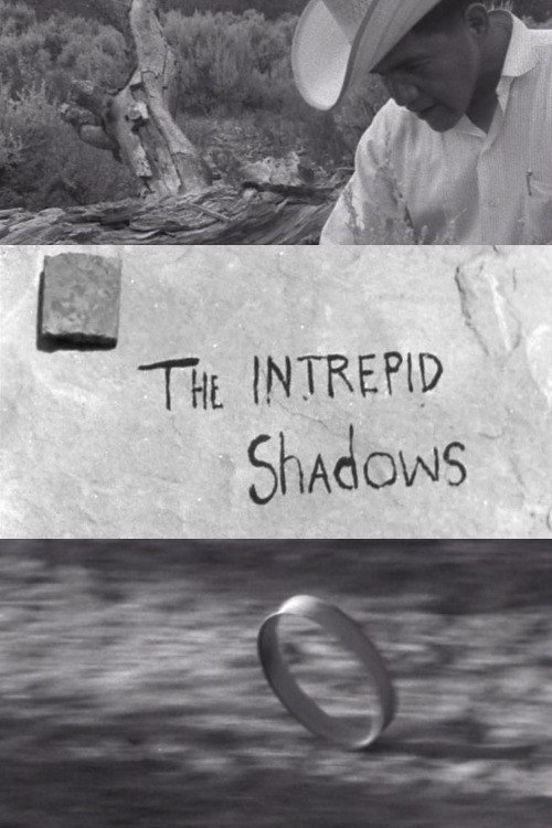 Intrepid Shadows poster