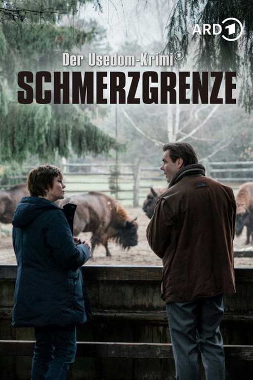 Schmerzgrenze – Der Usedom-Krimi poster