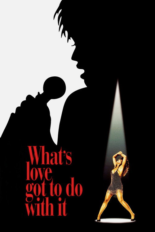 What’s Love Got to Do with It poster