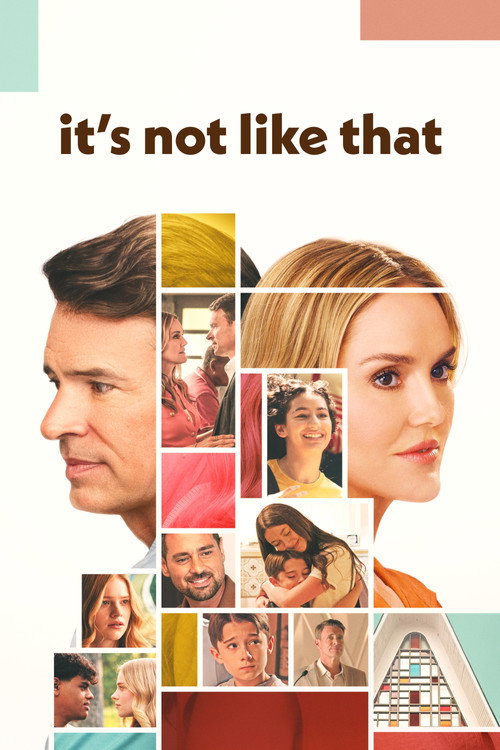 It’s Not Like That poster