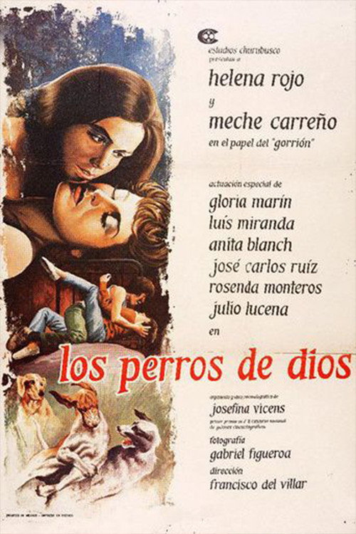 The Dogs of God poster