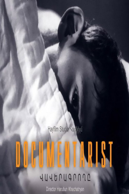 Documentarist poster