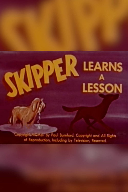 Skipper Learns A Lesson poster