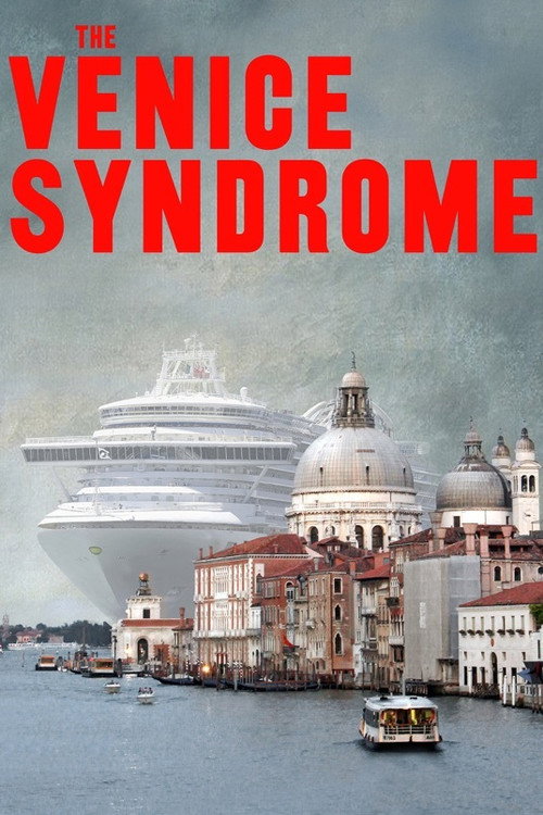 The Venice Syndrome poster