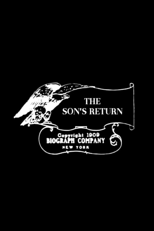 The Son’s Return poster