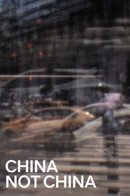 China Not China poster