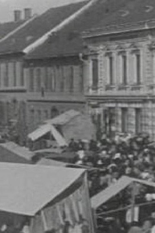 The Ljutomer Fair poster