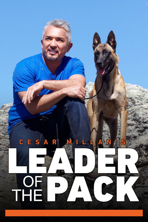 Cesar Millan’s Leader of the Pack poster