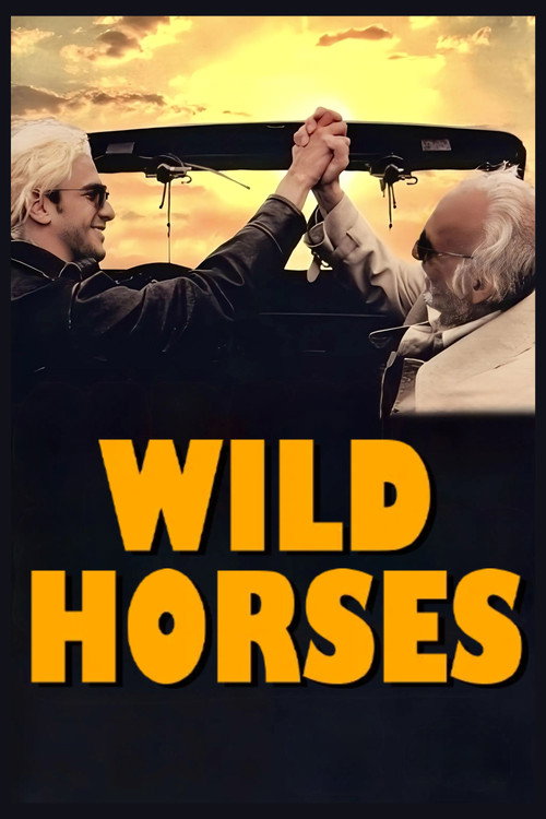 Caballos salvajes poster