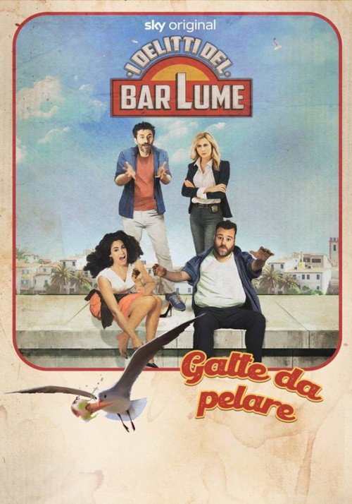 I delitti del Barlume – Gatte da pelare poster