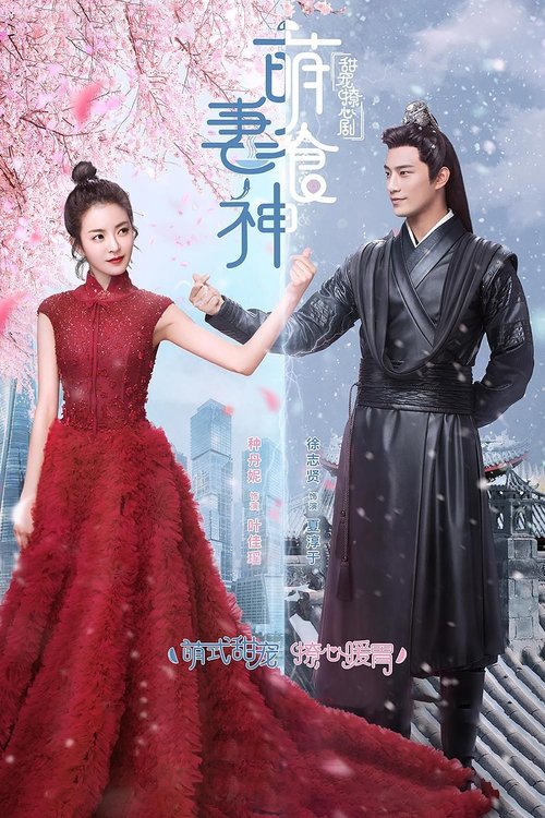 Cinderella Chef poster