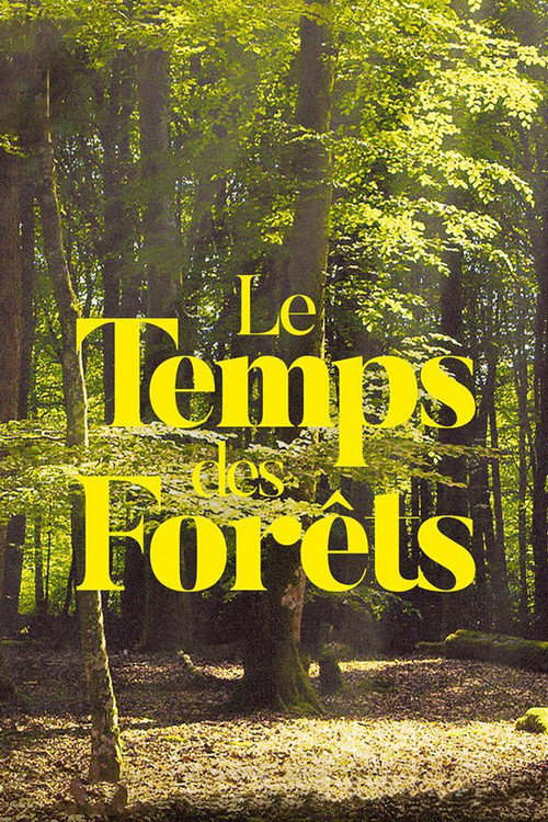 The Time of Forests poster