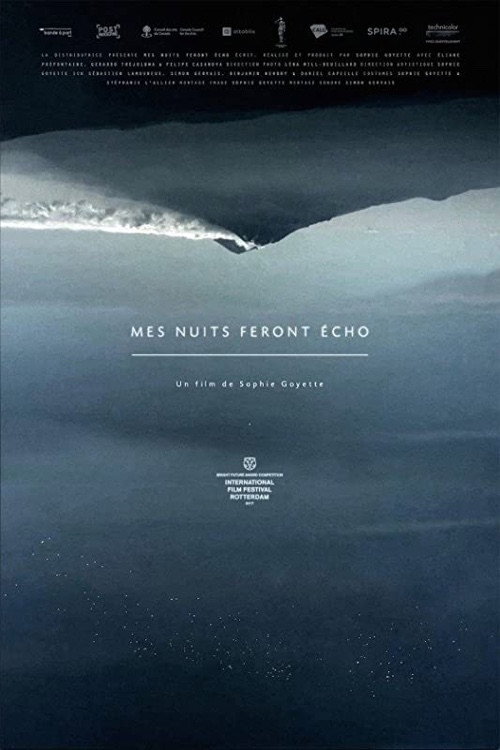 Still Night, Still Light poster