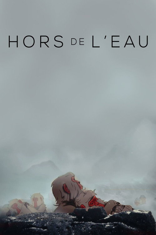 Hors de l’eau poster
