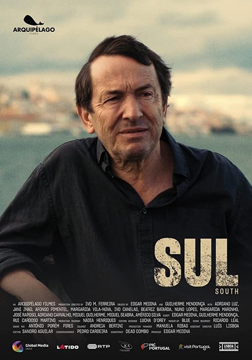 South poster