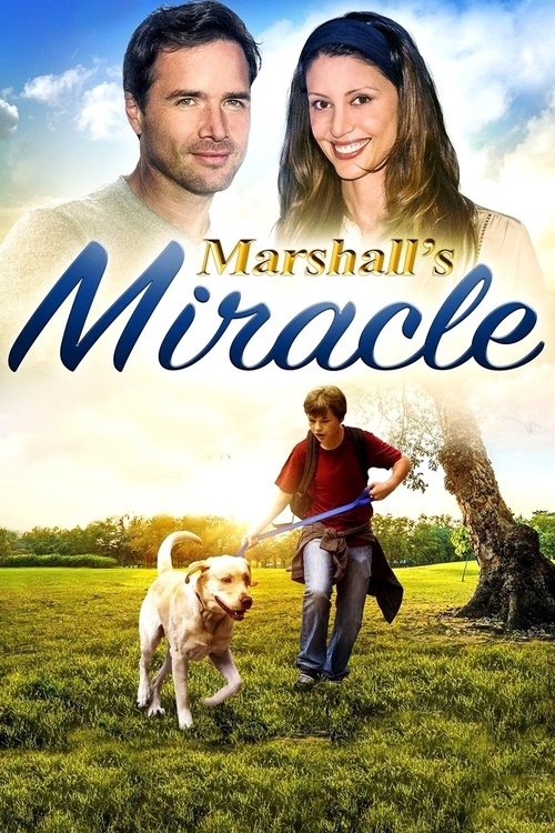 Marshall’s Miracle poster
