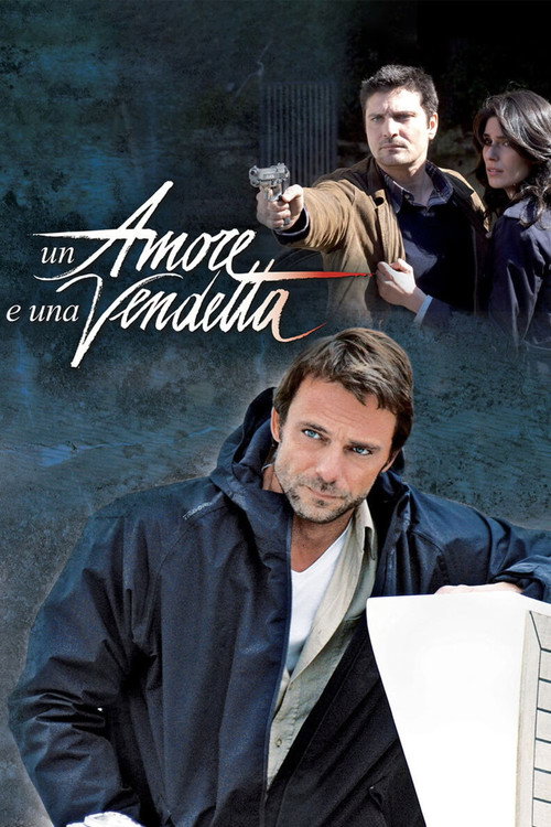 Un amore e una vendetta poster