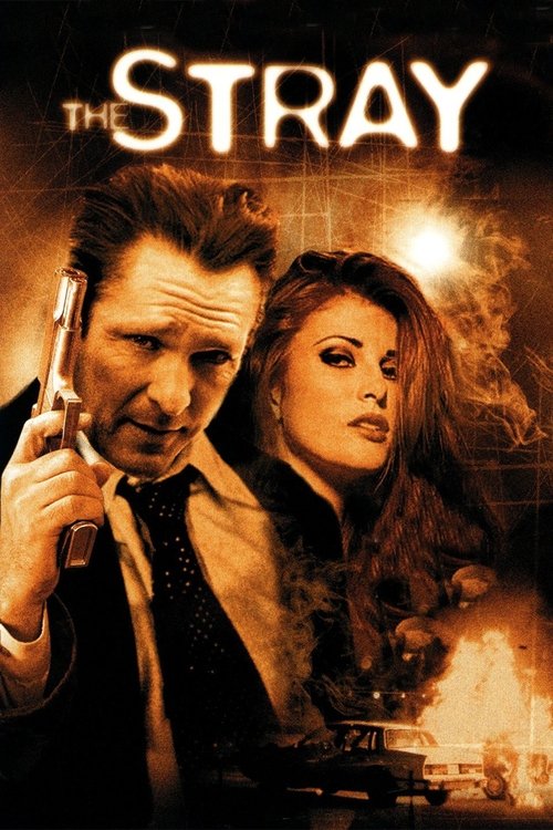 The Stray poster