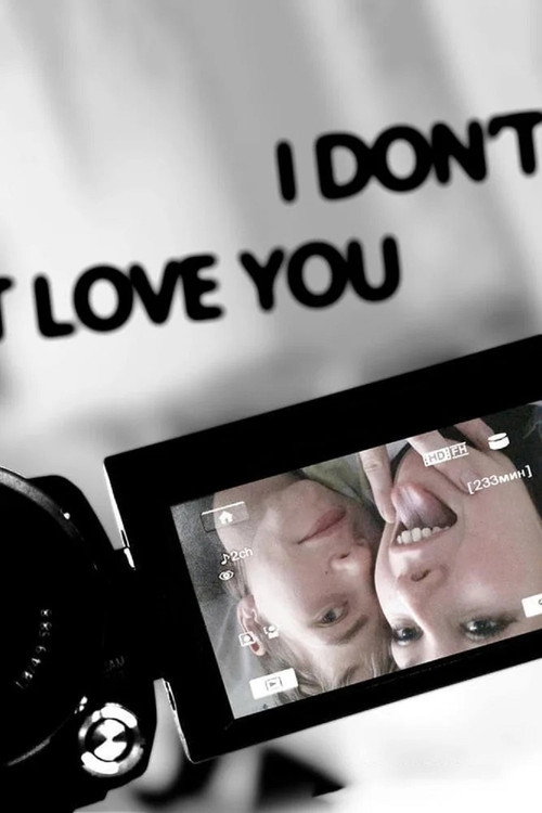 I Don’t Love You poster