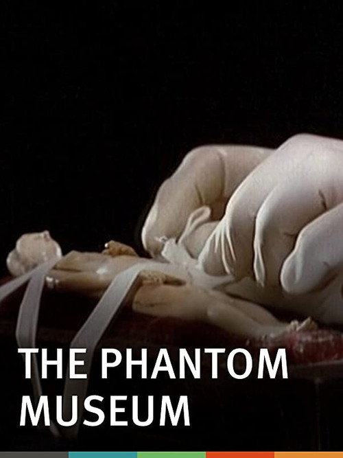 The Phantom Museum: Random Forays Into the Vaults of Sir Henry Wellcome’s Medical Collection poster