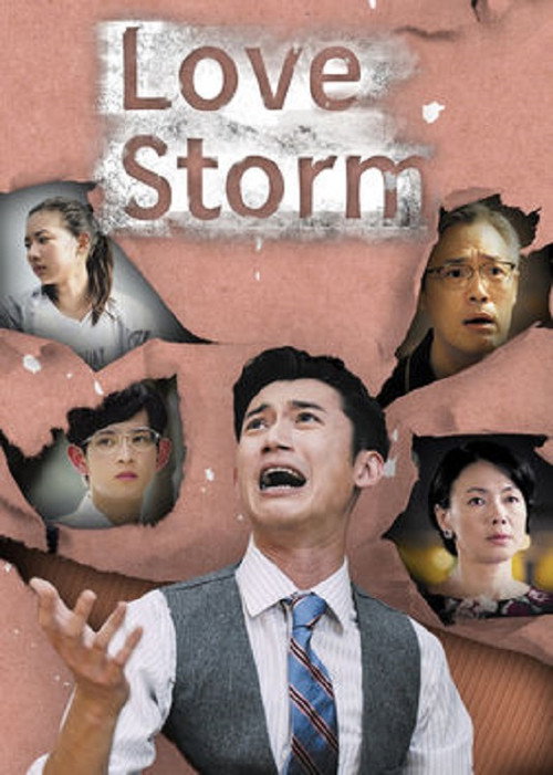 Love Storm poster