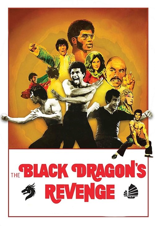 Black Dragon’s Revenge poster