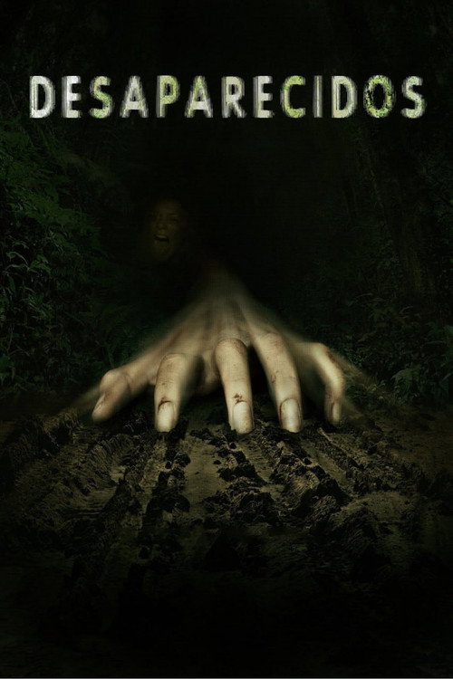 Missing poster