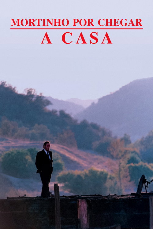 Dying to Go Home poster