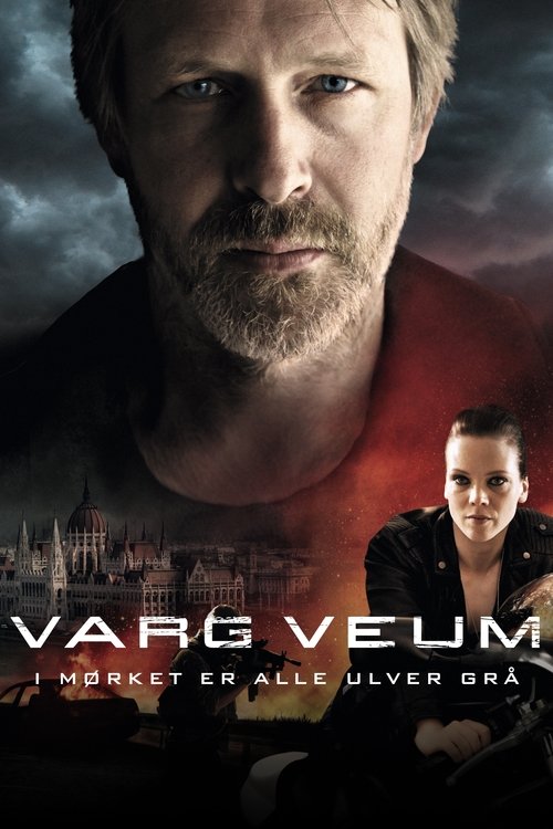 Varg Veum – At Night All Wolves Are Grey poster