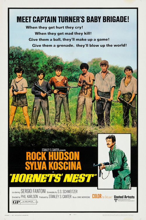 Hornets’ Nest poster