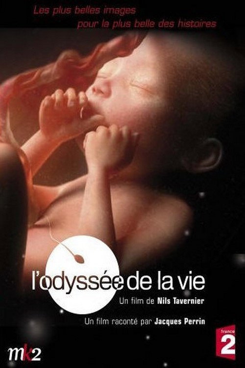 L’odyssée de la vie poster
